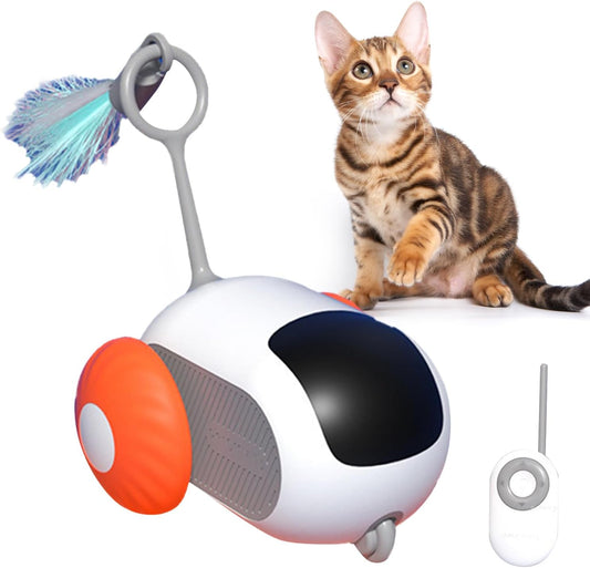 Electric Remote Control Cat Toy Car with Feather Teaser