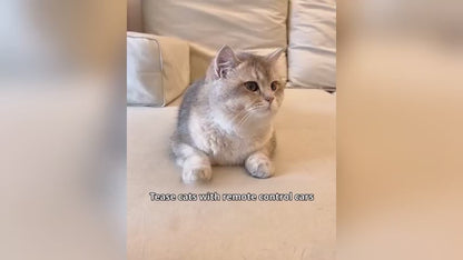 Coche de juguete eléctrico para gatos con control remoto y plumero.